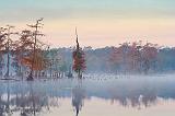 Misty Lake Martin_26661